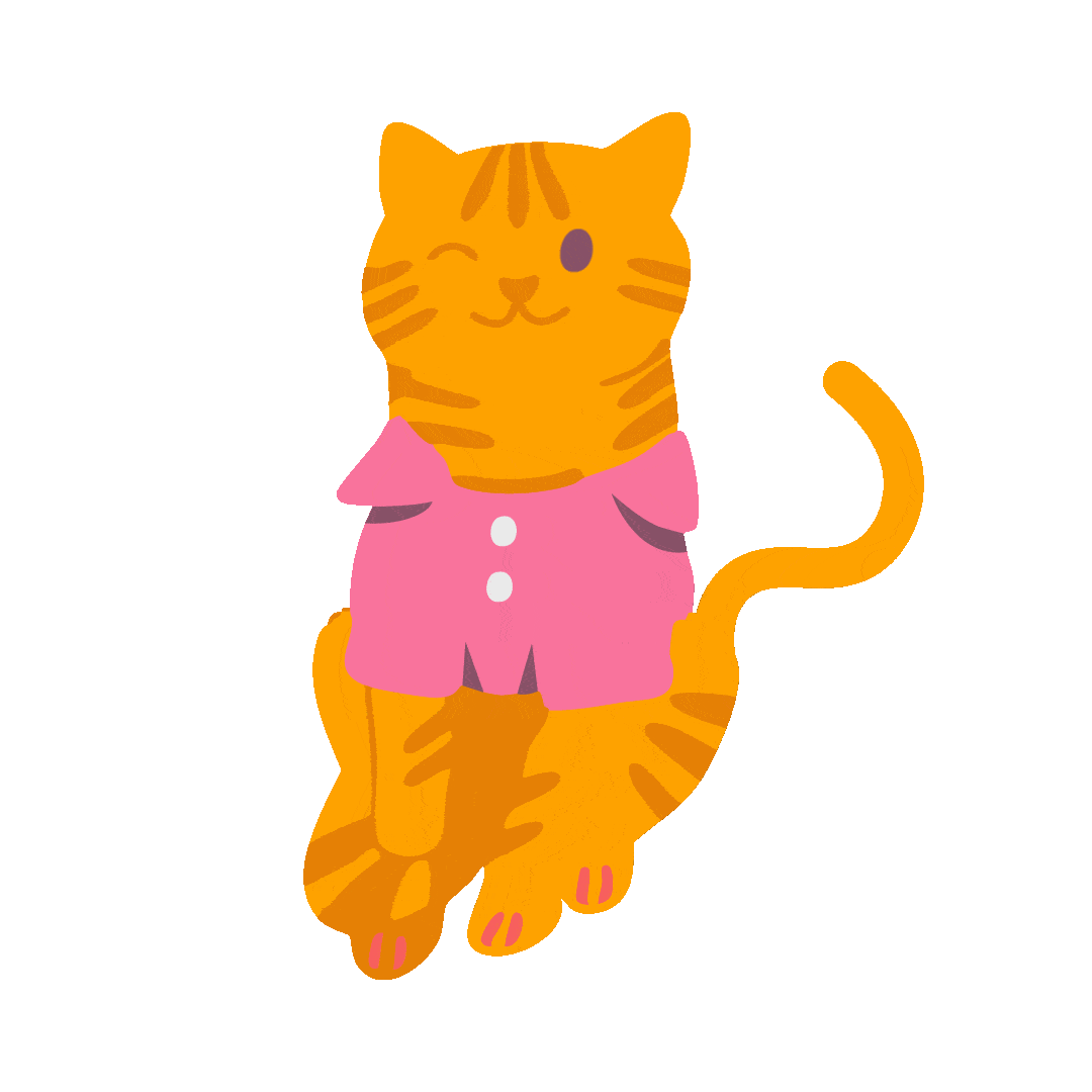 Animao Gato Chico
