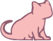 Gato Filhote