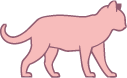 Gato Maduro